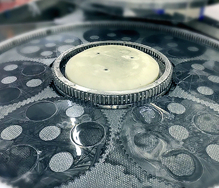 蜂窩樹脂研磨墊